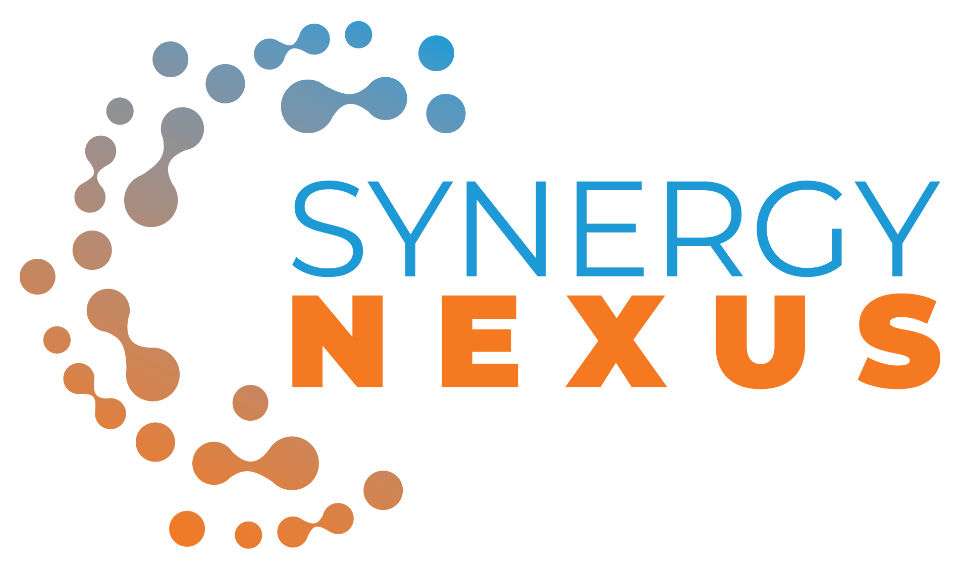 SYNERGY NEXUS
